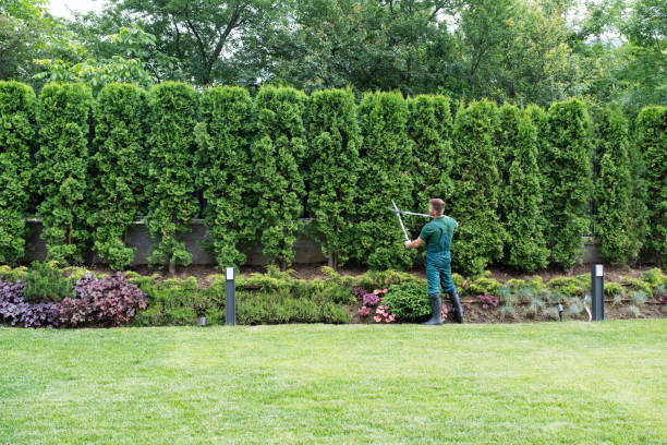  Lemont Furnace, PA Tree Removal and Landscaping Services Pros